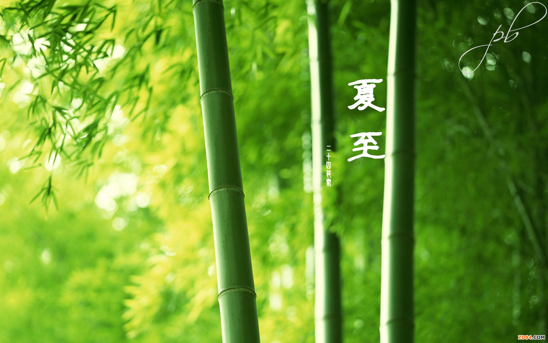 ���������ꁆ�鎧��&ldquo;���&rdquo;����