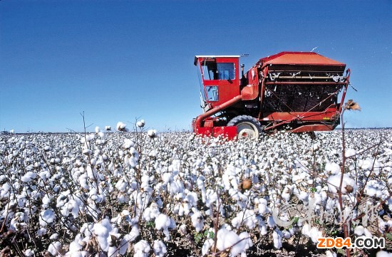 �����磺2014/15��Ȱ��ތ��p�a(ch��n)50%