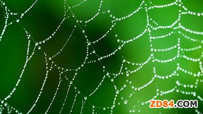 ���ƌW(xu��)�����ü�(x��)��&ldquo;�󼏿�&rdquo; �аl(f��)�ߏ�(qi��ng)�Ⱥϳ�֩��z