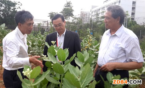 �I(y��)�Ȍ��ҬF(xi��n)������V����W������������