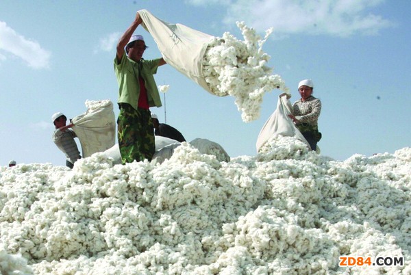 �޻�չ��Փ�����½��e�� �޻��r���c�����܉