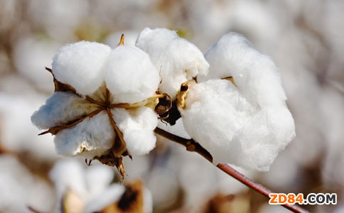 �޻�ֱ�a(b��)���ߌ�(sh��)ʩ ��β����õ�����a(b��)�N��