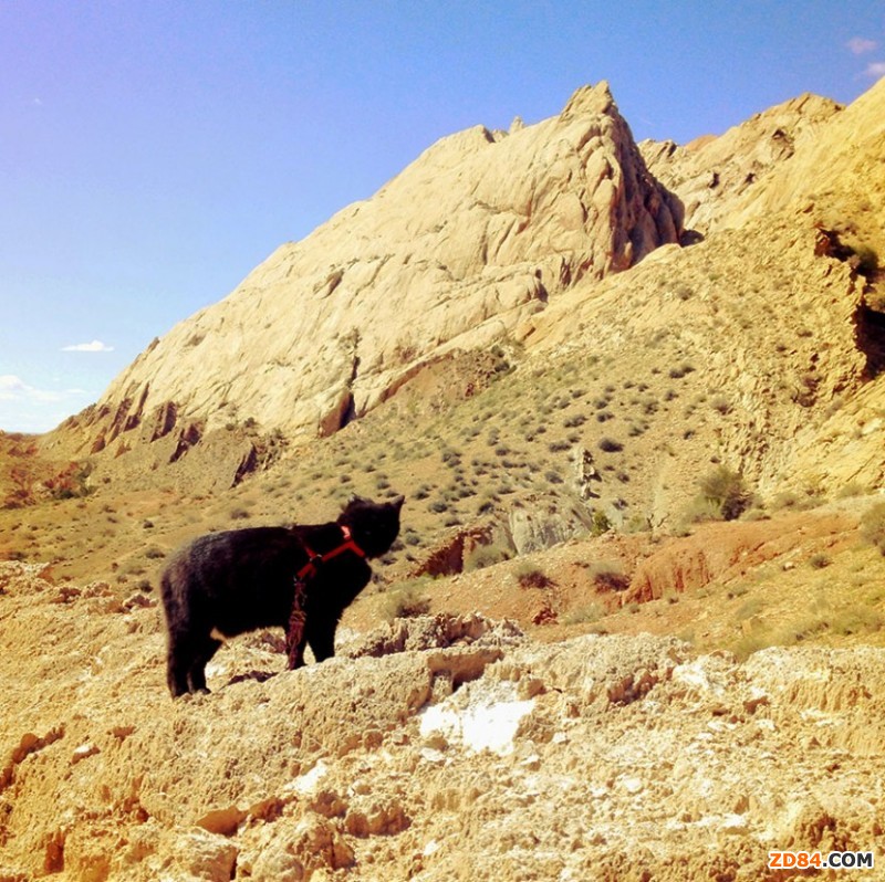 ����؈��ȥ̽�U(xi��n)��һ��һ؈����ѵ�ɽ��n