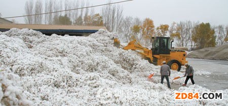 棉花:棉市“順價(jià)銷(xiāo)售”難成行