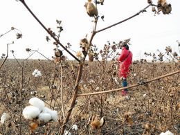 �޻�&ldquo;���˻�&rdquo;