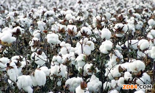 ����ʡ�״γ��_�޻��a�N����