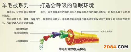 羊毛被---那些你不知道的事