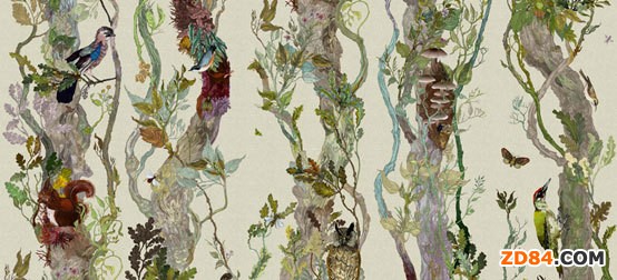 3���H����չ ��������Щ��(n��i)��ֵ���P(gu��n)ע?