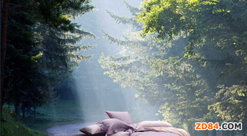 ��ϲ��VIP������(j��ng)��(j��)֮����ϯ���Ҽ��I(y��)